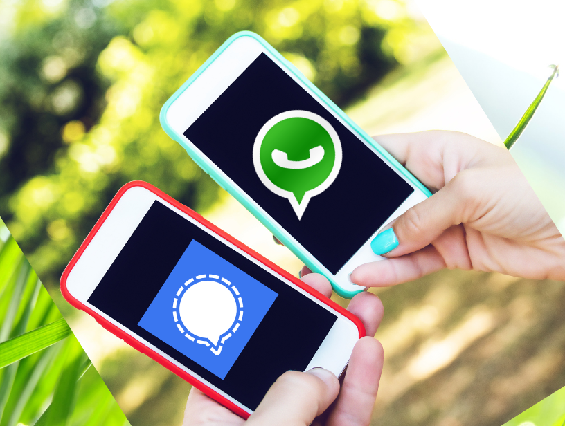 How to shift from WhatsApp to Signal: Chat Transfer Guide