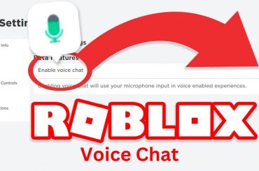 how to get roblox voice chat