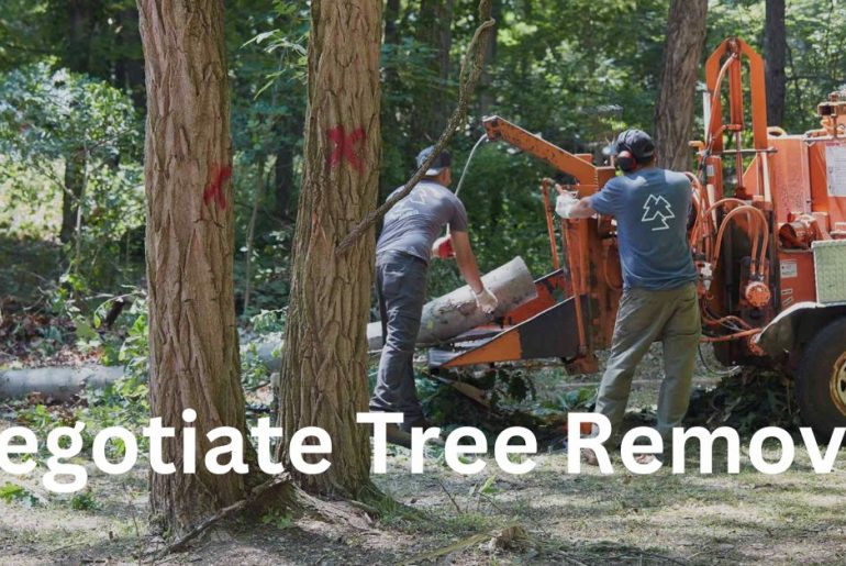 how to negotiate tree removal